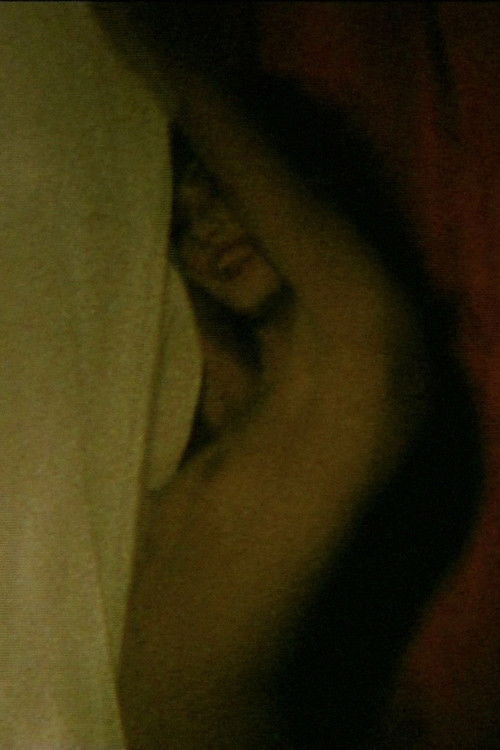 Compulsive Viewing: The Films of Guy Bourdin (2003) poster