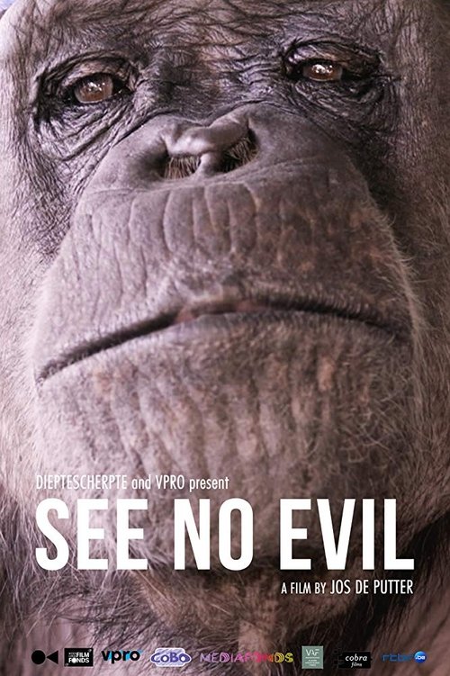 See No Evil (2014) poster