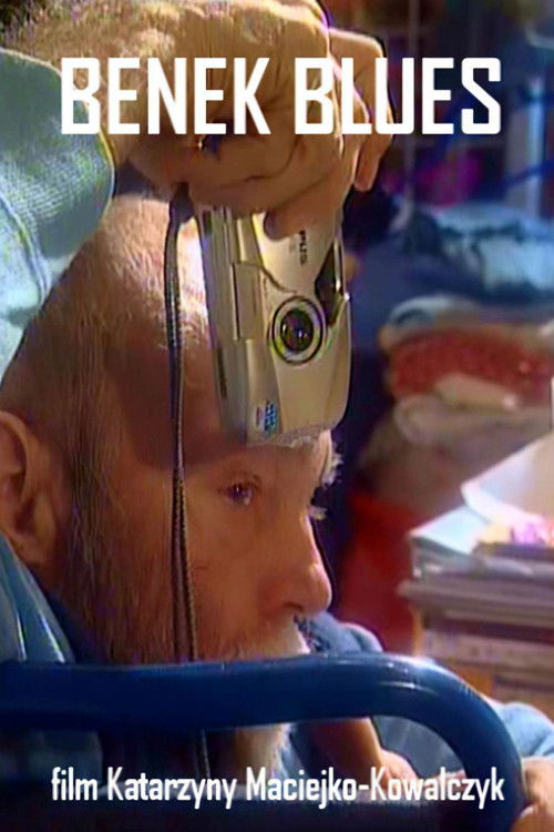 Benek Blues (2000) poster