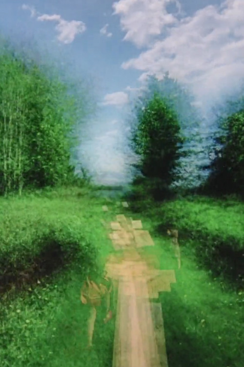 Brouillard #2 (2011) poster