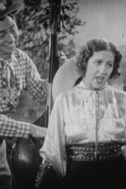 Montana Plains (1944) poster