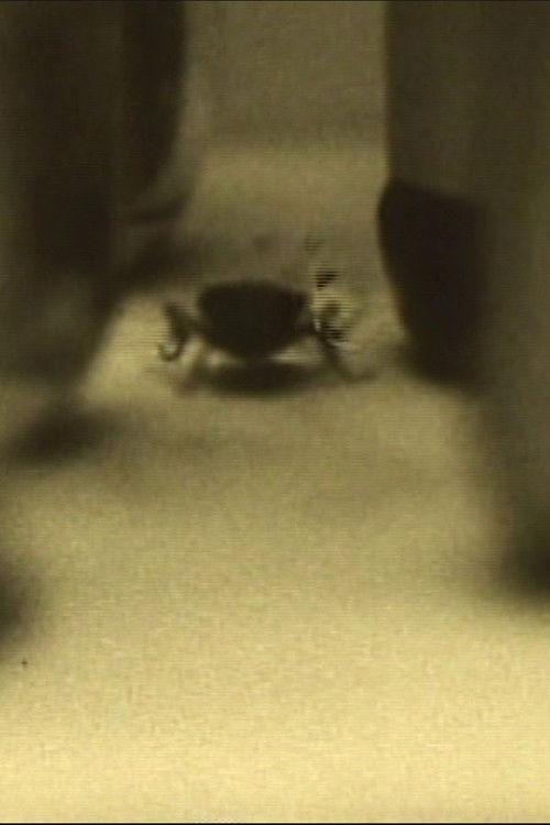 All’s Quiet in Sparkle City (1971) poster