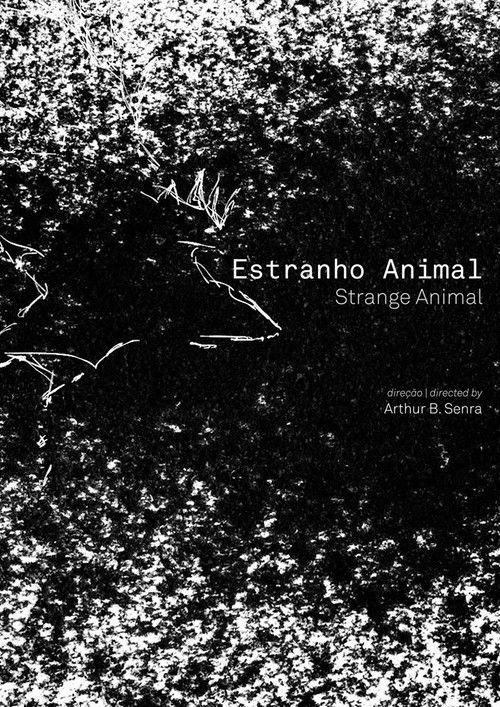Estranho Animal (2019) poster