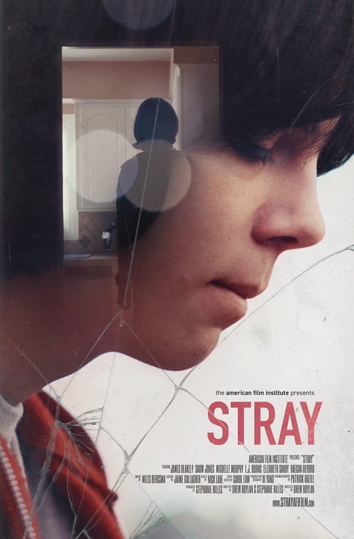Stray (2017) poster