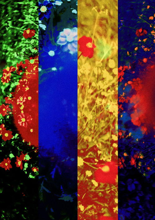 Past Time (2024) poster