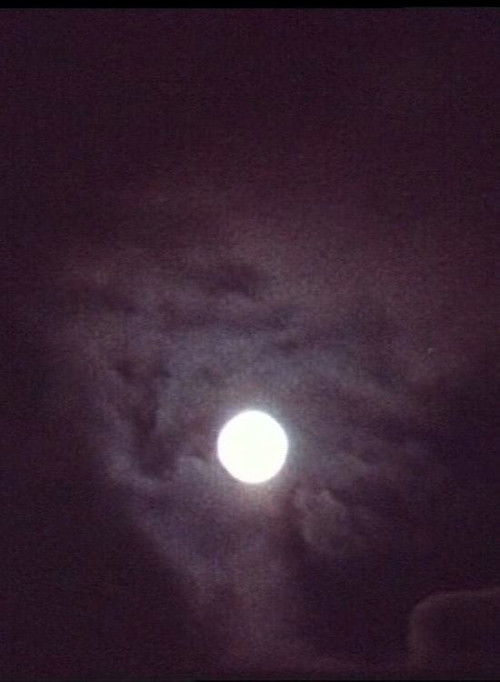 Die Sonne sank, ich folge ihr (1985) poster