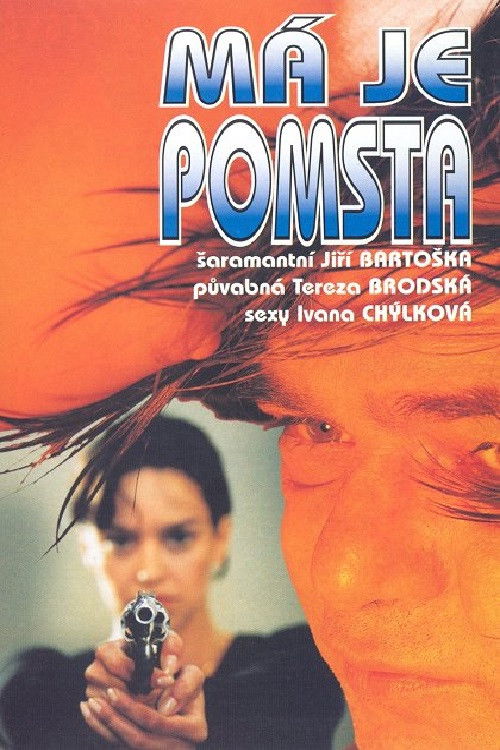 Má je pomsta (1995) poster