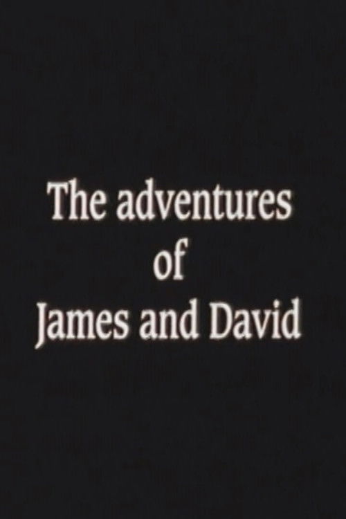 The Adventures of James and David (1997) poster