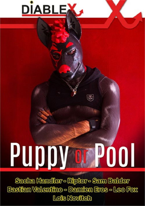 Puppy or Pool (2024) poster