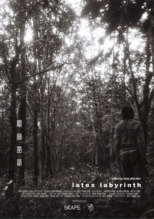 Latex Labyrinth (2025) poster