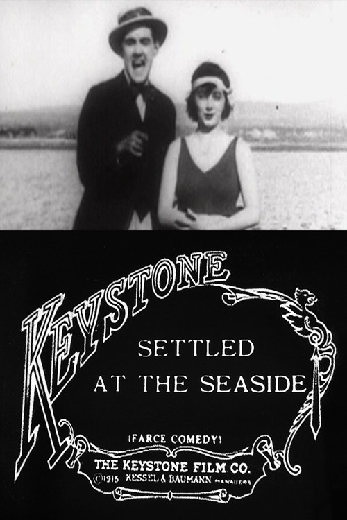 Settled at the Seaside (1915) poster