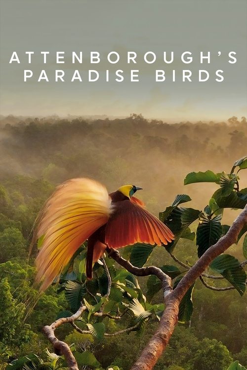 Attenborough's Paradise Birds (2015) poster