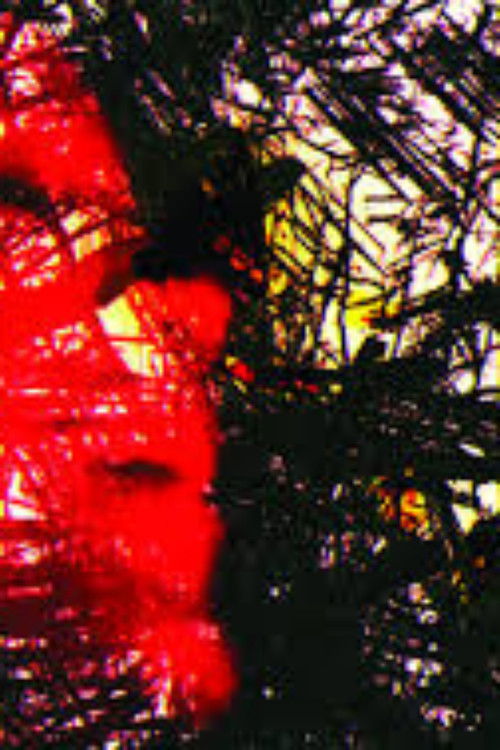 Tantas vozes no silêncio do agora (2018) poster