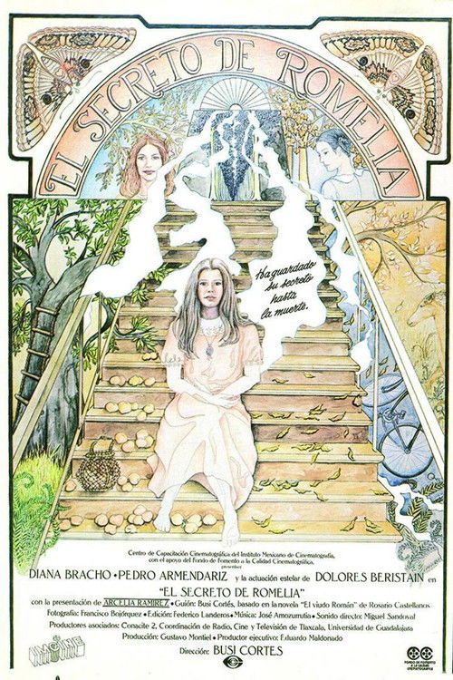El secreto de Romelia (1988) poster