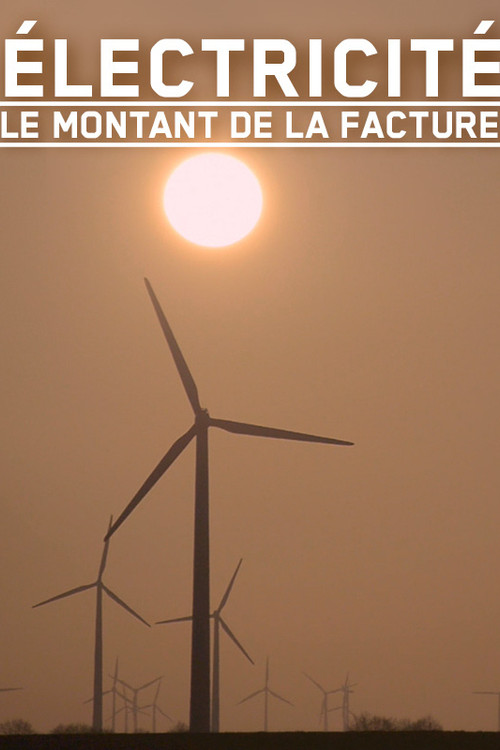 Electricité, le montant de la facture (2016) poster