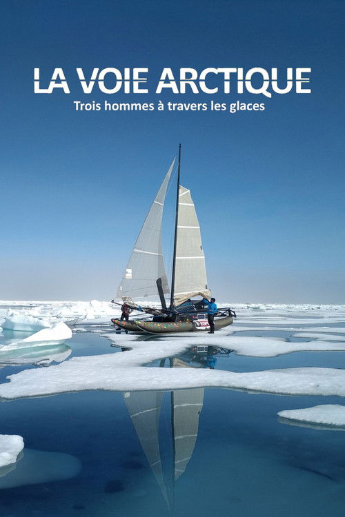 La Voie arctique - Trois hommes à travers les glaces (2020) poster