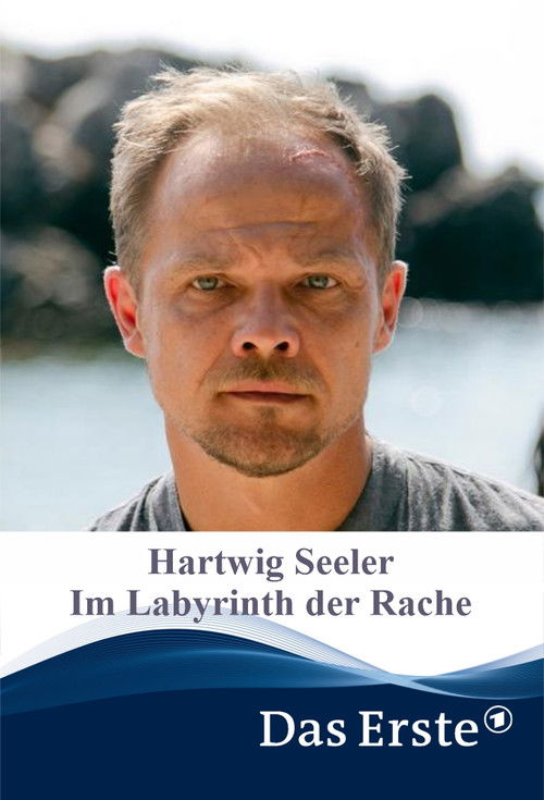 Hartwig Seeler – Im Labyrinth der Rache (2022) poster