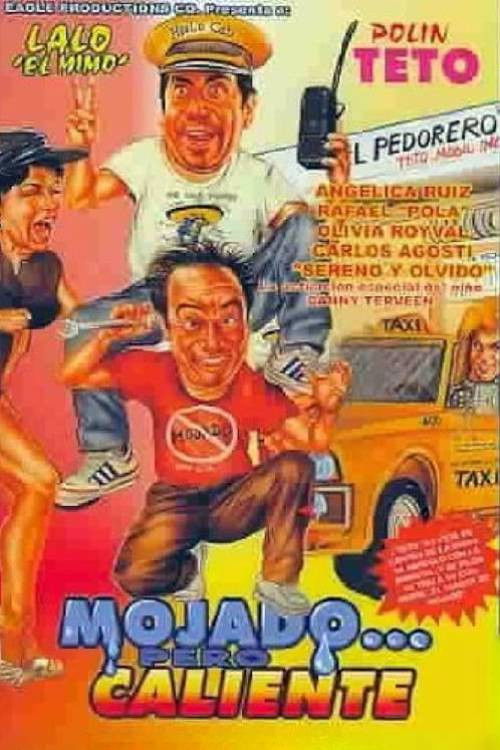 Mojado... pero caliente (1989) poster
