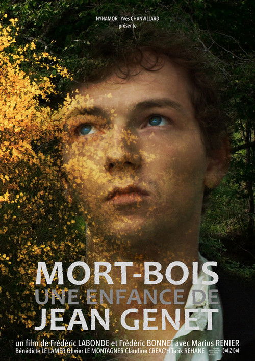 Mort-Bois, a Young Jean Genet (2019) poster