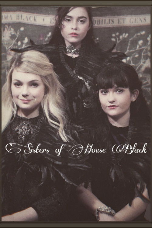 Sisters of House Black (2019) poster