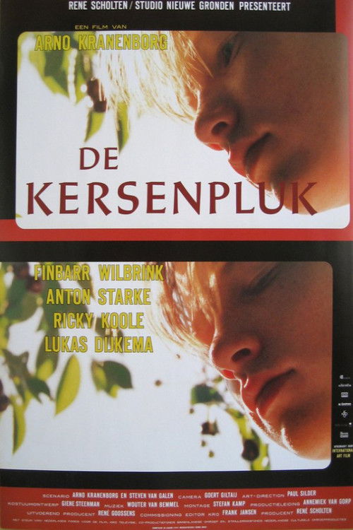 De kersenpluk (1995) poster