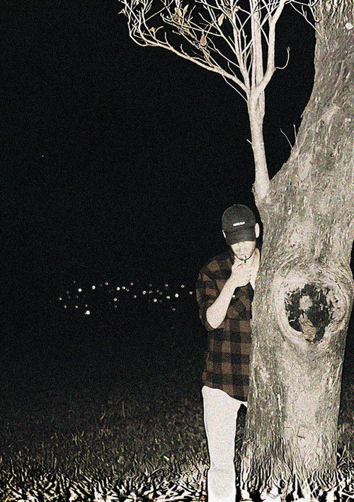 Predação Noturna poster