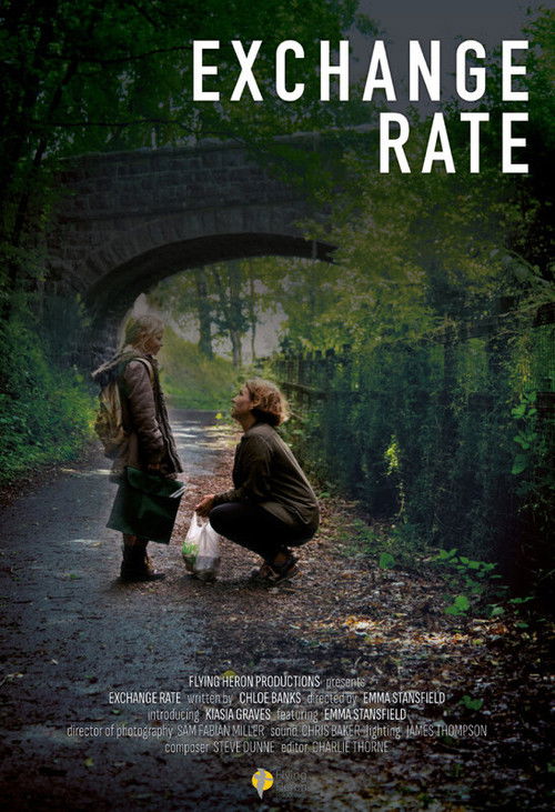 Exchange Rate (2024) poster