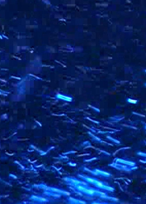 fullmåne. (2022) poster