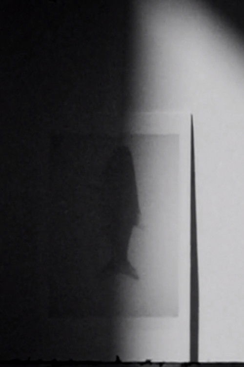 shadow swells (2022) poster