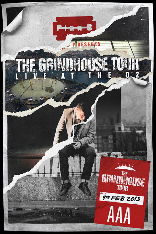 Plan B: The Grindhouse Tour - Live At The O2 (2013) poster