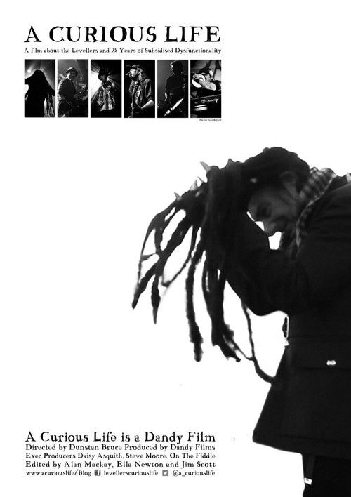 A Curious Life (2014) poster