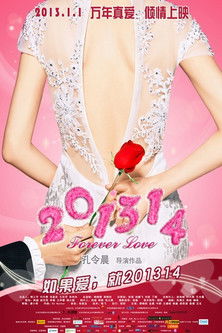 201314 (2013) poster