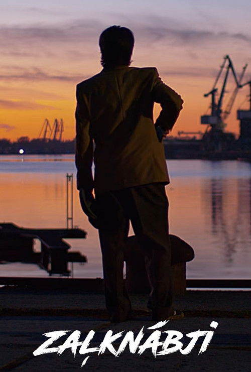 Greenbeaks (2018) poster