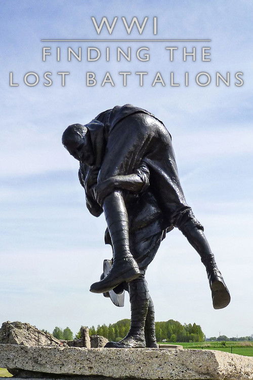 WWI: Finding the Lost Battalion (2010) poster