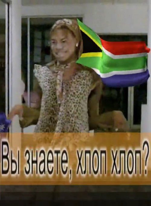 P.opular S.ky (section-ish) (2010) poster