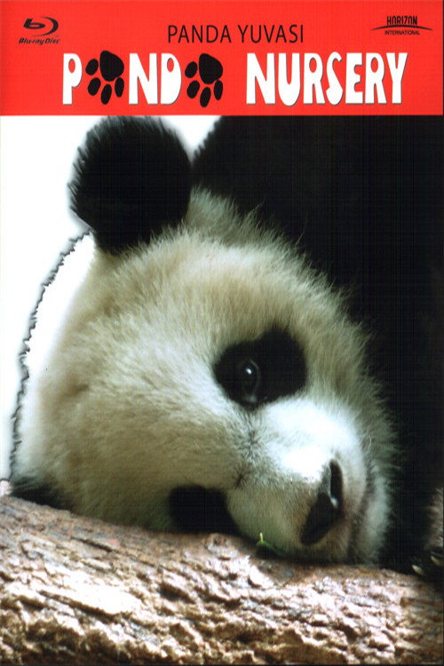 Panda Yuvası (2005) poster