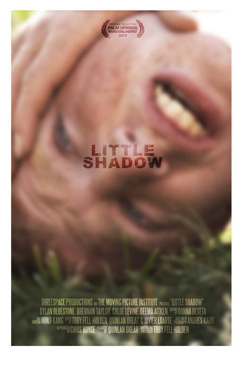 Little Shadow (2013) poster