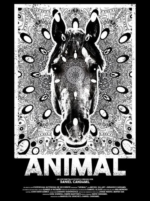 Animal (2022) poster
