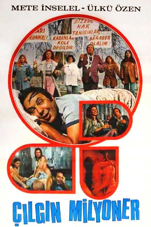 Çılgın Milyoner (1976) poster