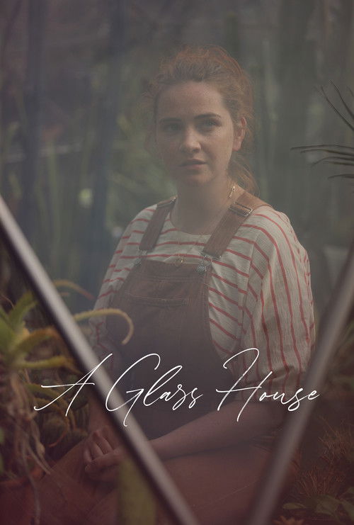 A Glass House (2024) poster