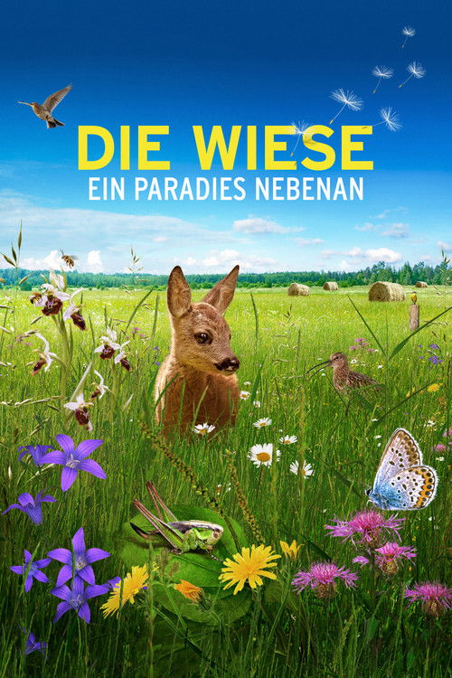 Die Wiese: Ein Paradies nebenan (2019) poster