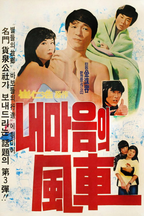 내 마음의 풍차 (1976) poster