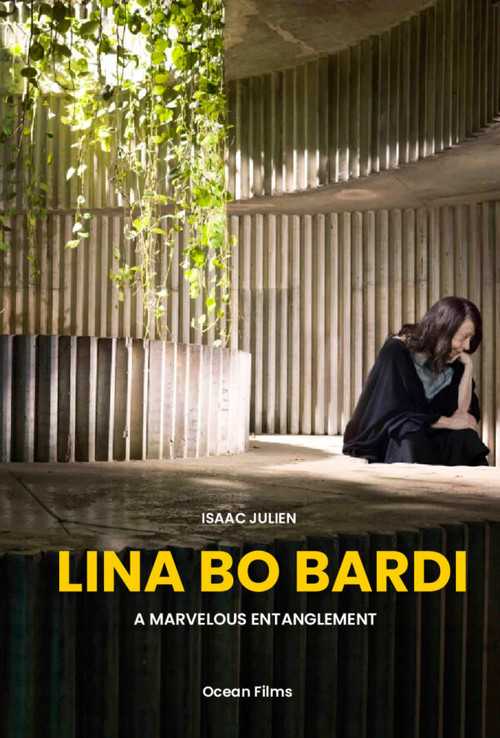 Lina Bo Bardi — Um Maravilhoso Emaranhado (2019) poster