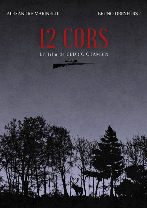 12 Horns (2025) poster