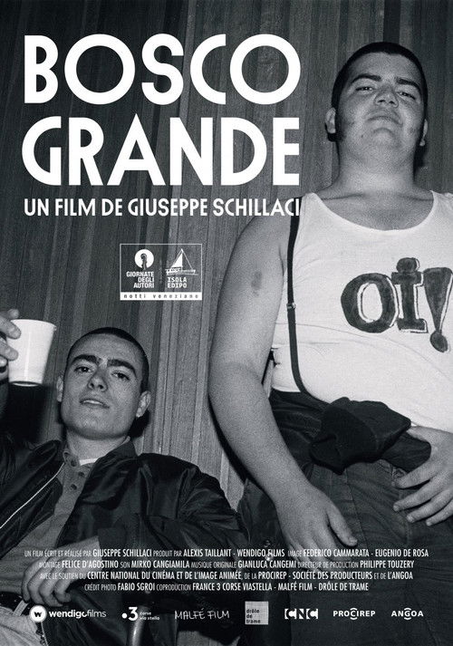 Big Forest (2024) poster