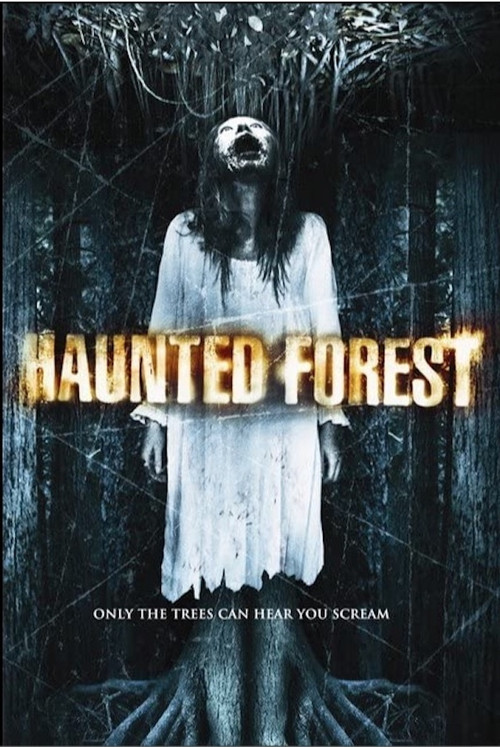 Haunted Forest (2007) poster