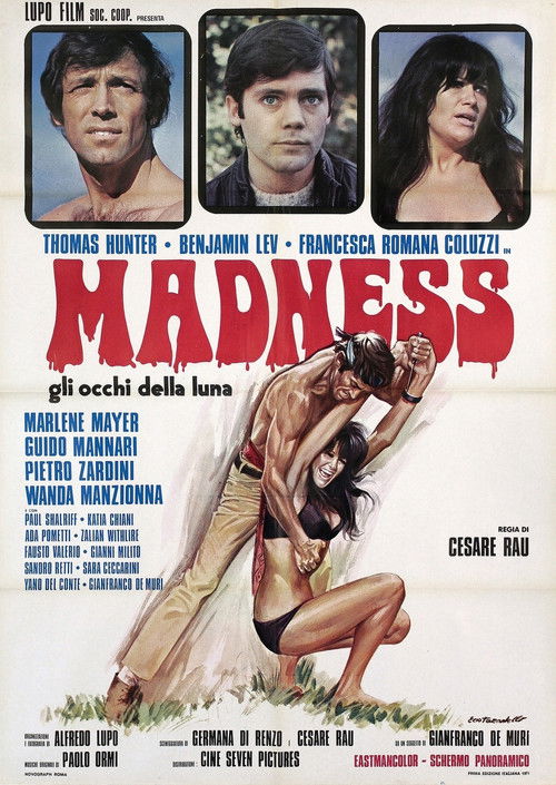 Madness (1971) poster