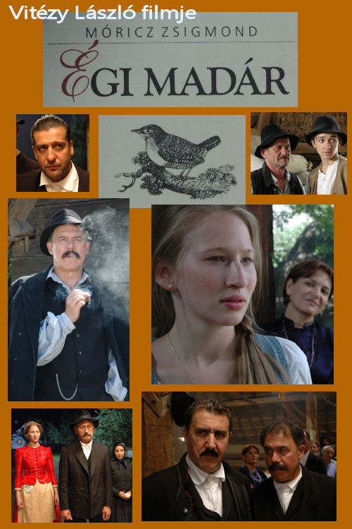 Égi madár (2011) poster