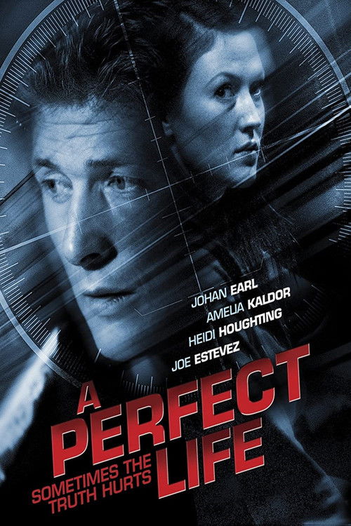A Perfect Life (2011) poster