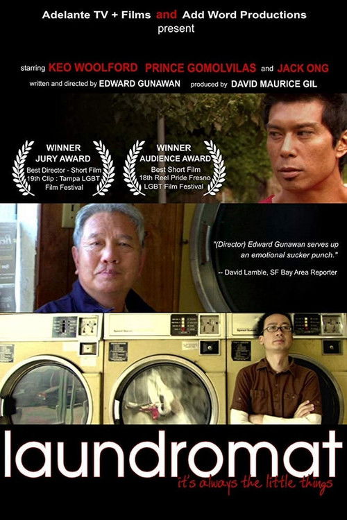 Laundromat (2008) poster